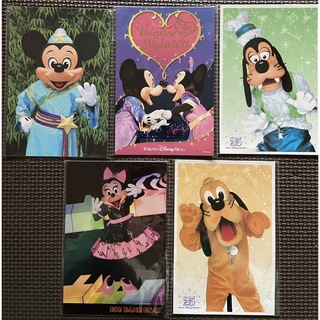 ディズニー(Disney)のディズニーランド　ポストカード５枚セット　ディズニーシー　ミッキー　ミニー　(その他)