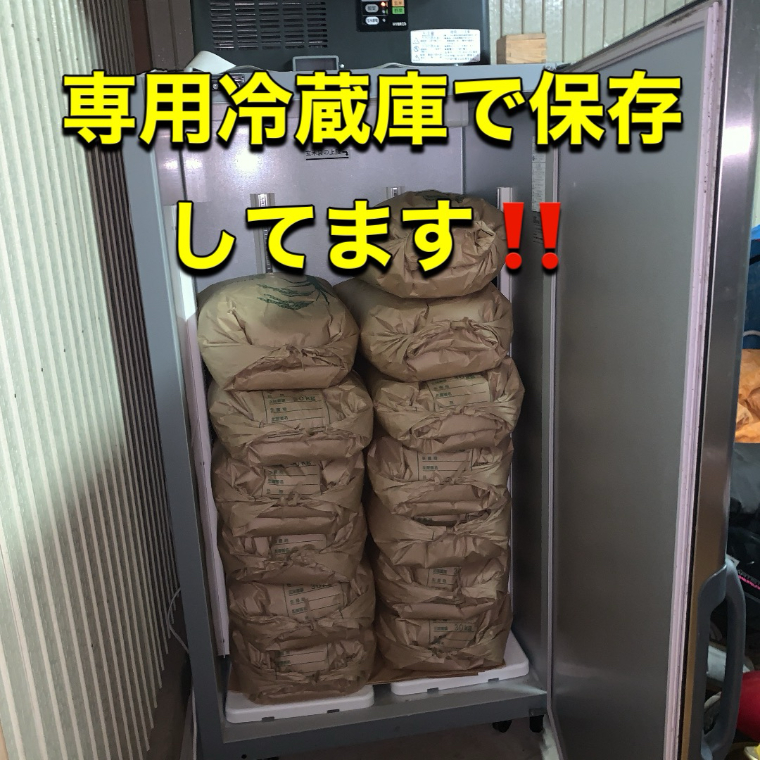 ★はるみ★新米★米10kg★玄米★お米★コシヒカリ★新米10★キヌヒカリ 食品/飲料/酒の食品(米/穀物)の商品写真