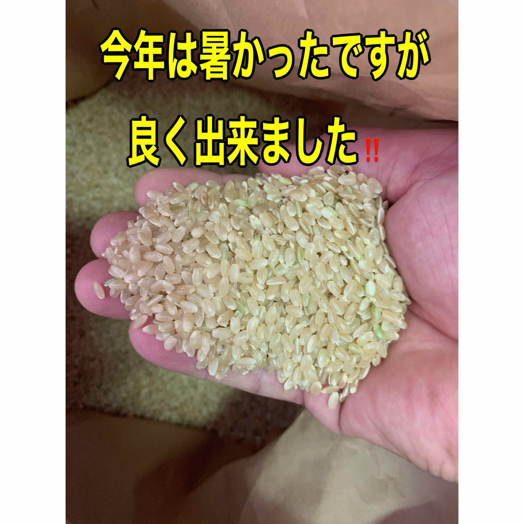 ★はるみ★新米★米10kg★玄米★お米★コシヒカリ★新米10★キヌヒカリ 食品/飲料/酒の食品(米/穀物)の商品写真