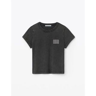 アレキサンダーワン(Alexander Wang)のAlexander wang(Tシャツ(半袖/袖なし))