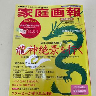 家庭画報プレミアムライト版 2024年 01月号 [雑誌](その他)