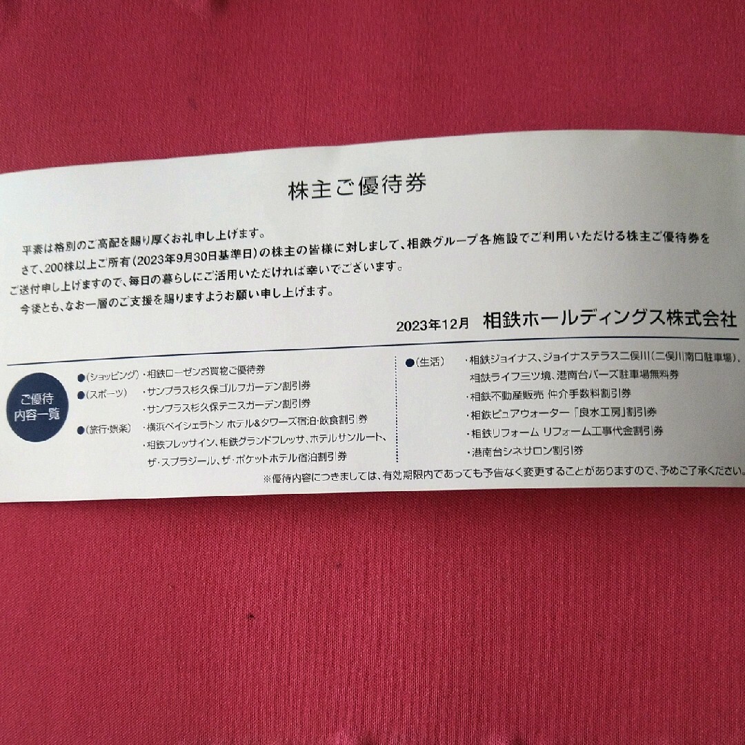 相鉄ホールディングス　株主優待 チケットの優待券/割引券(その他)の商品写真