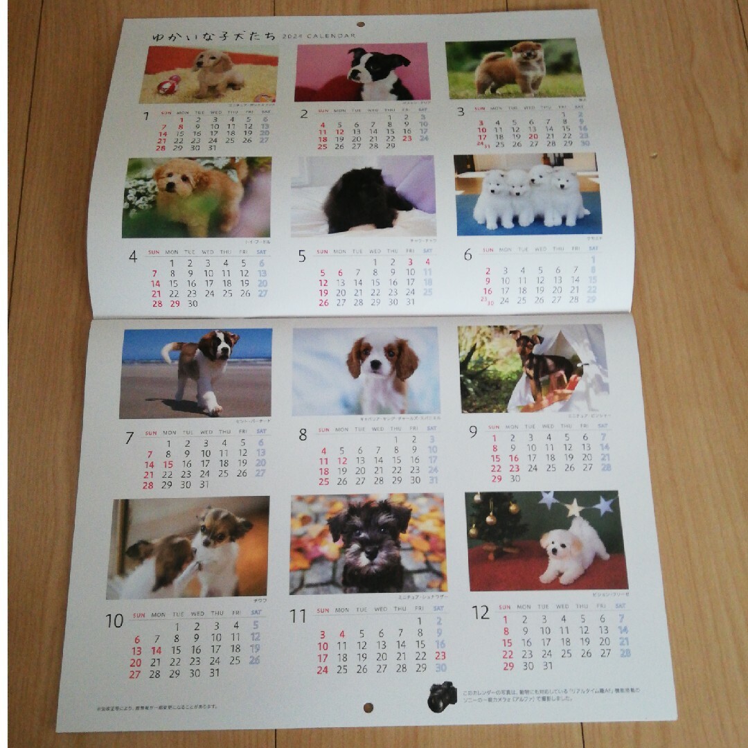 ゆかいな子犬たち(ソニー生命)カレンダー  2024 インテリア/住まい/日用品の文房具(カレンダー/スケジュール)の商品写真
