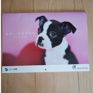 ゆかいな子犬たち(ソニー生命)カレンダー  2024(カレンダー/スケジュール)