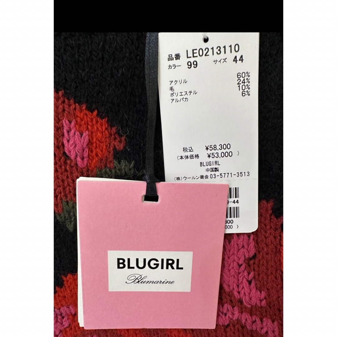 Blugirl(ブルーガール)のBLUGIRL ブルーガール ノルディックセーター レディースのトップス(ニット/セーター)の商品写真