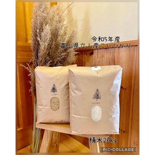 令和5年産　富山県産　立山産　米　こしひかり　精米20kg(米/穀物)