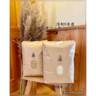 じー様専用　令和5年産　富山県産　立山産　米　こしひかり　精米10kg(米/穀物)