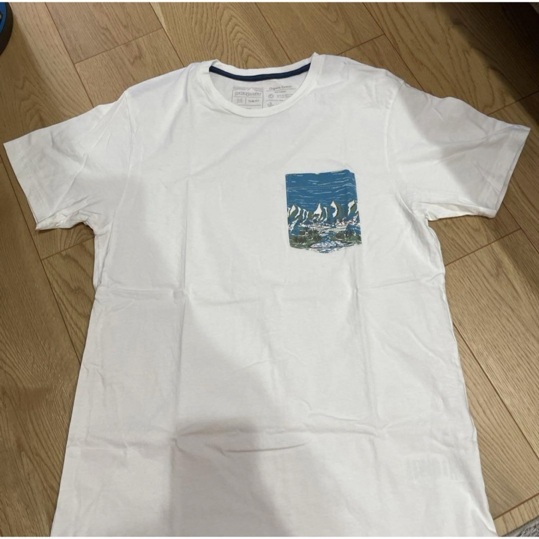 patagonia(パタゴニア)の【patagonia】パタゴニア Tシャツ メンズのトップス(Tシャツ/カットソー(半袖/袖なし))の商品写真