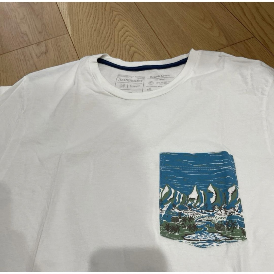 patagonia(パタゴニア)の【patagonia】パタゴニア Tシャツ メンズのトップス(Tシャツ/カットソー(半袖/袖なし))の商品写真
