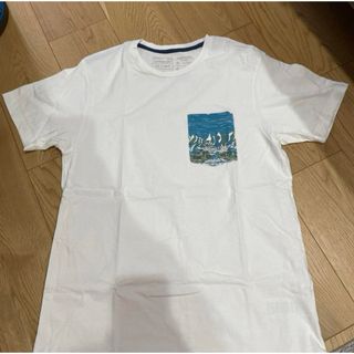 パタゴニア(patagonia)の【patagonia】パタゴニア Tシャツ(Tシャツ/カットソー(半袖/袖なし))