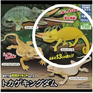 タカラトミー(Takara Tomy)のカメレオンB ガチャガチャ(その他)