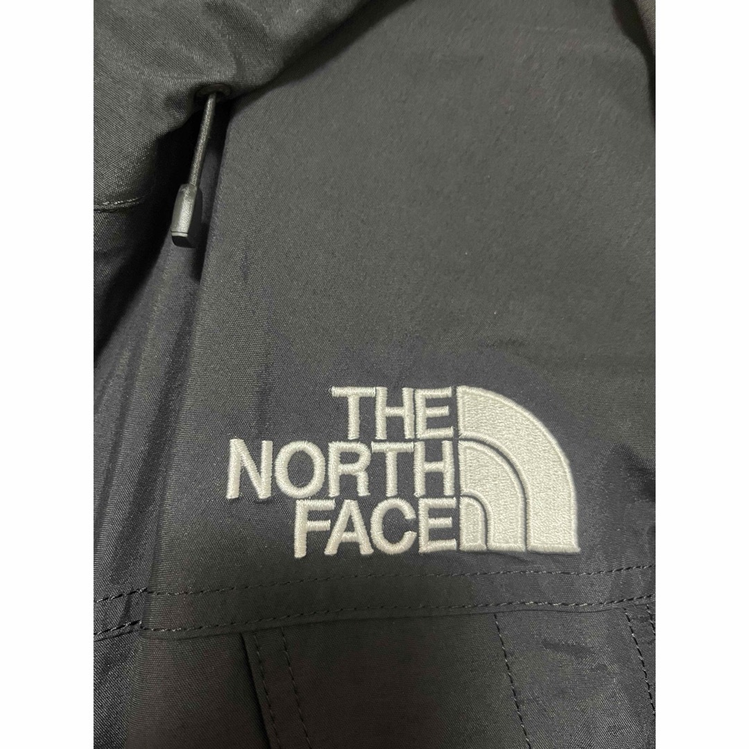 THE NORTH FACE(ザノースフェイス)のTHE NORTH FACE MOUNTAIN LIGHT JACKET メンズのジャケット/アウター(マウンテンパーカー)の商品写真