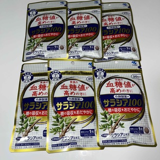 コバヤシセイヤク(小林製薬)のサラシア100 20日分×6袋(ダイエット食品)