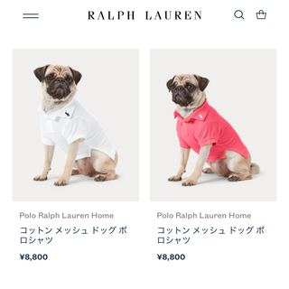 ポロラルフローレン(POLO RALPH LAUREN)のラルフローレン　犬用ピンクポロシャツ(日本未発売色)(犬)