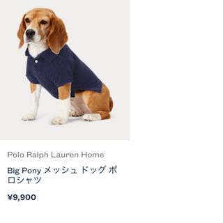 ポロラルフローレン(POLO RALPH LAUREN)のラルフローレン　Big Pony黒犬用ポロシャツ(犬)