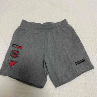 プーマ(PUMA)のPUMA トレーニングパンツ(パンツ/スパッツ)