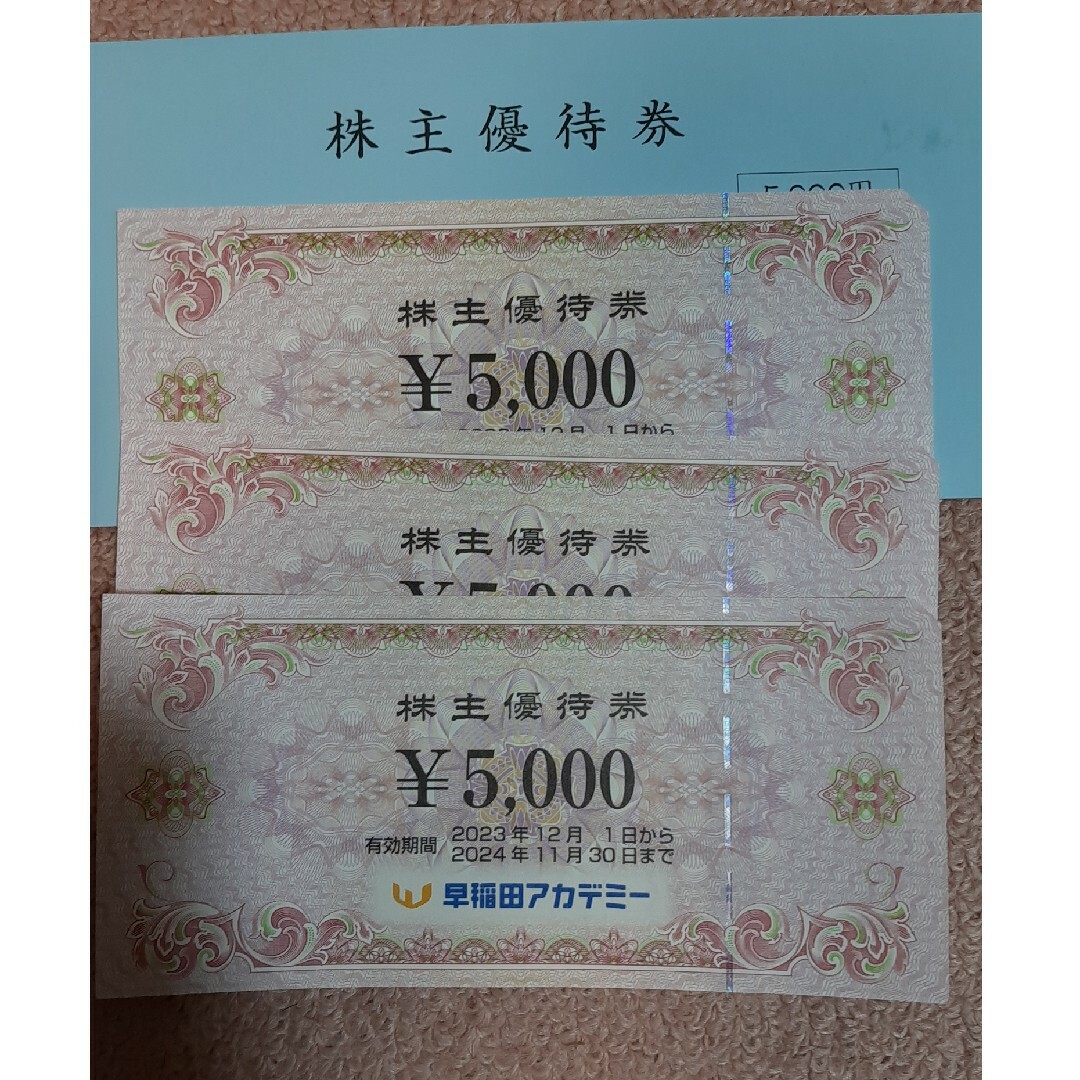 早稲田アカデミー 株主優待 15,000円分 チケットの優待券/割引券(その他)の商品写真