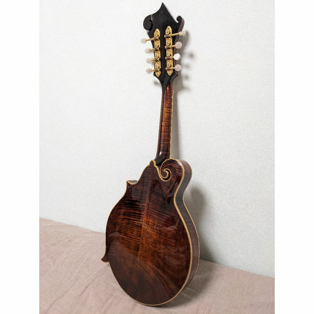 Eastman MD915 MD-915 イーストマンフラットマンドリンFタイプ Eastman MD915 MD-915 イーストマンフラットマンドリンFタイプ