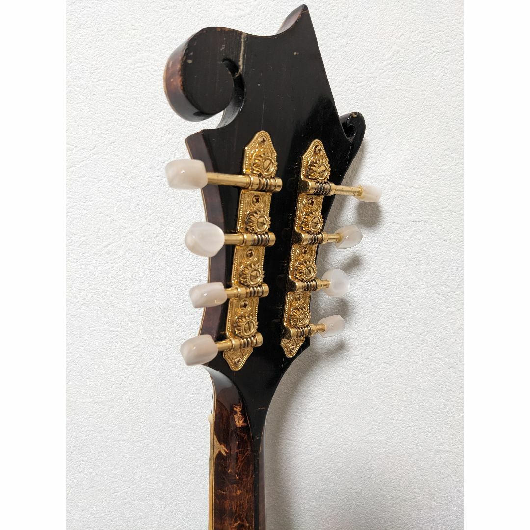 Eastman MD915 MD-915 イーストマンフラットマンドリンFタイプ Eastman MD915 MD-915 イーストマンフラットマンドリンFタイプ