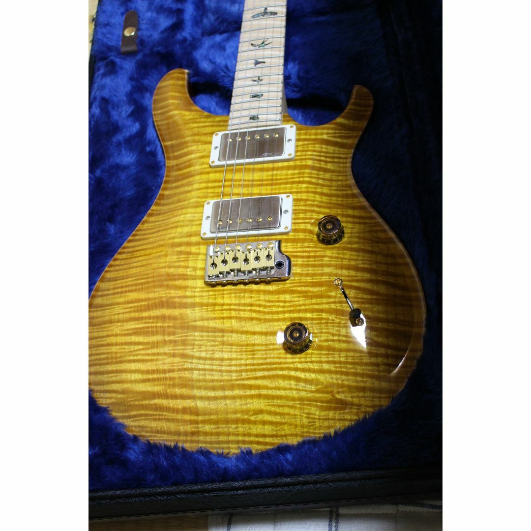 ギターPaul Reed Smith CUSTOM 24 WOOD LIBRARY