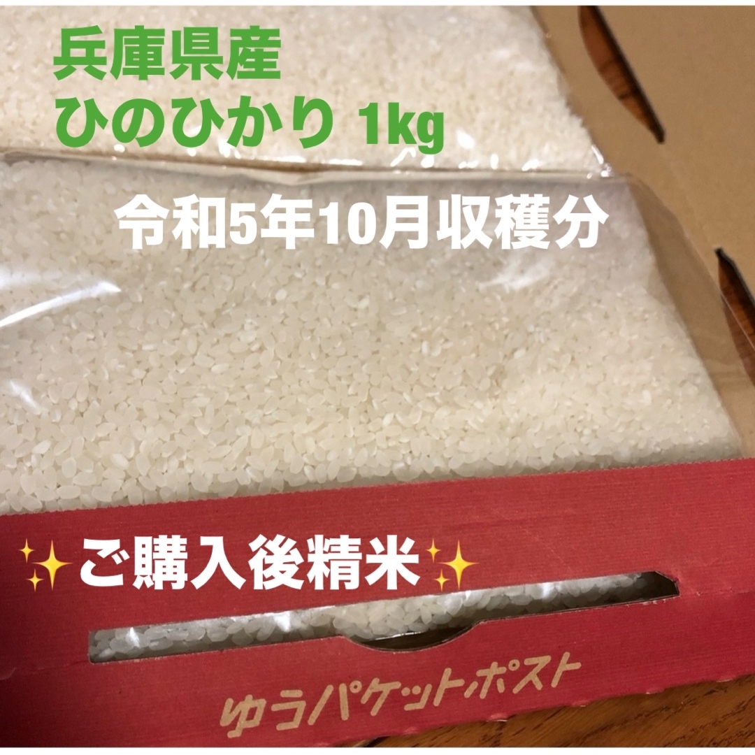 白米　兵庫県産ひのひかり　1kg 食品/飲料/酒の食品(米/穀物)の商品写真