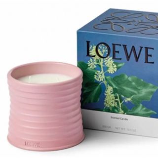 ロエベ(LOEWE)の[お値下げしました] LOEWE ロエベ　キャンドル　アイビー　新品未開封(アロマ/キャンドル)