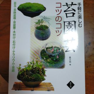 手軽に楽しむ苔園芸コツのコツ(趣味/スポーツ/実用)