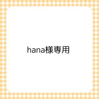 hana様専用(その他)