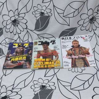 プロレス　雑誌セット(趣味/スポーツ)