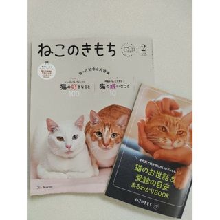 ねこのきもち　最新号　2024 2月号　付録小冊子付き(猫)