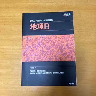 共通テスト総合問題集　地理Ｂ(語学/参考書)