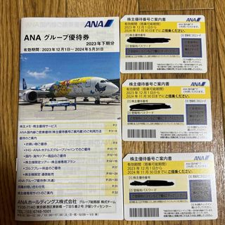 エーエヌエー(ゼンニッポンクウユ)(ANA(全日本空輸))のANA 株主優待(航空券)