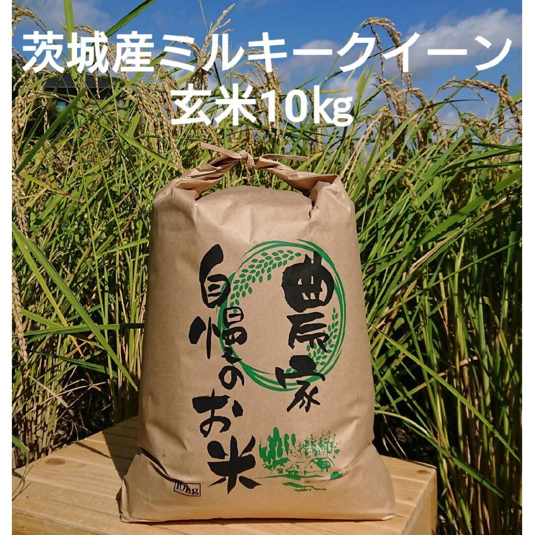 茨城令和5年産ミルキークイーン玄米10kg 食品/飲料/酒の食品(米/穀物)の商品写真