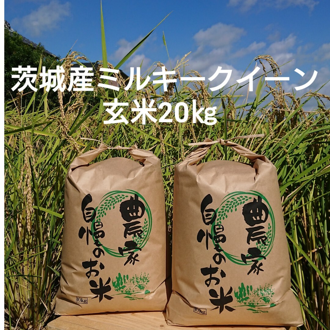 茨城令和5年産ミルキークイーン玄米20kg 食品/飲料/酒の食品(米/穀物)の商品写真