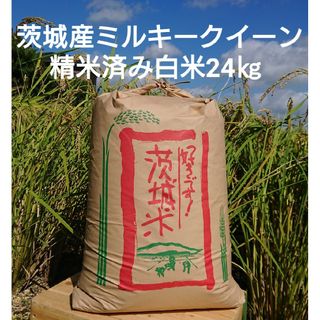 茨城令和5年産ミルキークイーン精米済24kg(米/穀物)