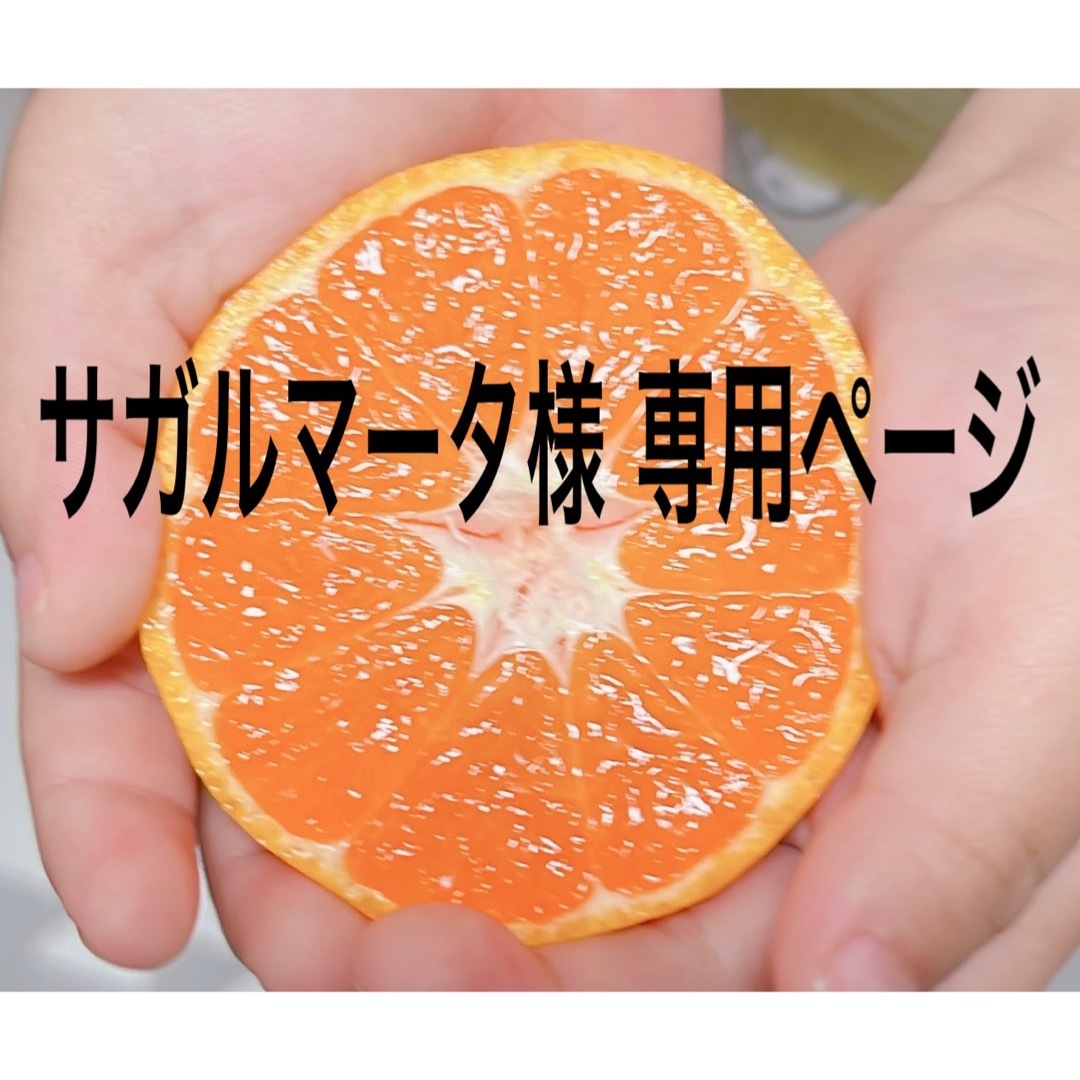 サガルマータ様 専用ページ☆ 食品/飲料/酒の食品(フルーツ)の商品写真