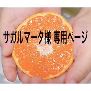 サガルマータ様 専用ページ☆(フルーツ)