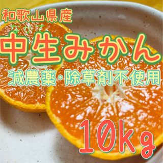 減農薬 中生みかん【10kg】和歌山県産(フルーツ)