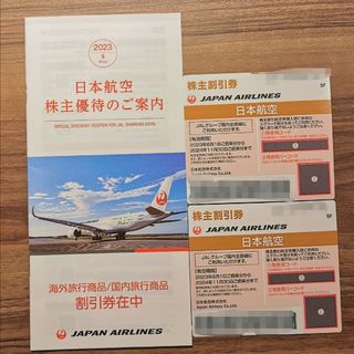 【匿名送料込】JAL　株主優待　日本航空　2枚(航空券)