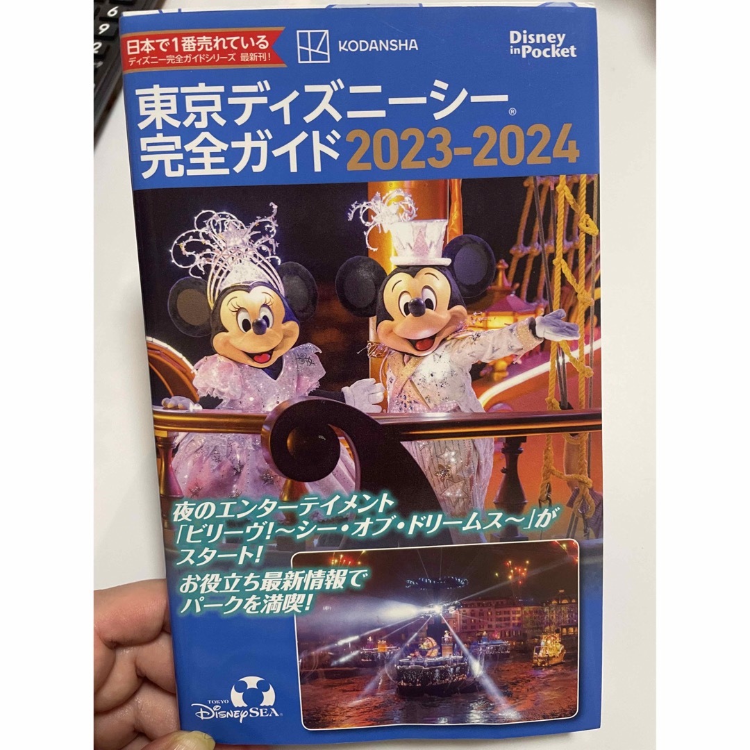 Disney(ディズニー)のディズニーハンドブック😊 エンタメ/ホビーの本(趣味/スポーツ/実用)の商品写真