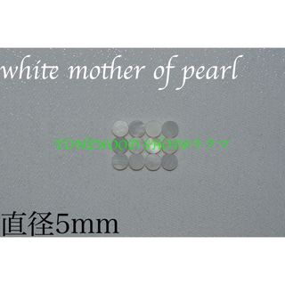 white mother of pearl 直径5mm 12個 ポジションマーク(その他)