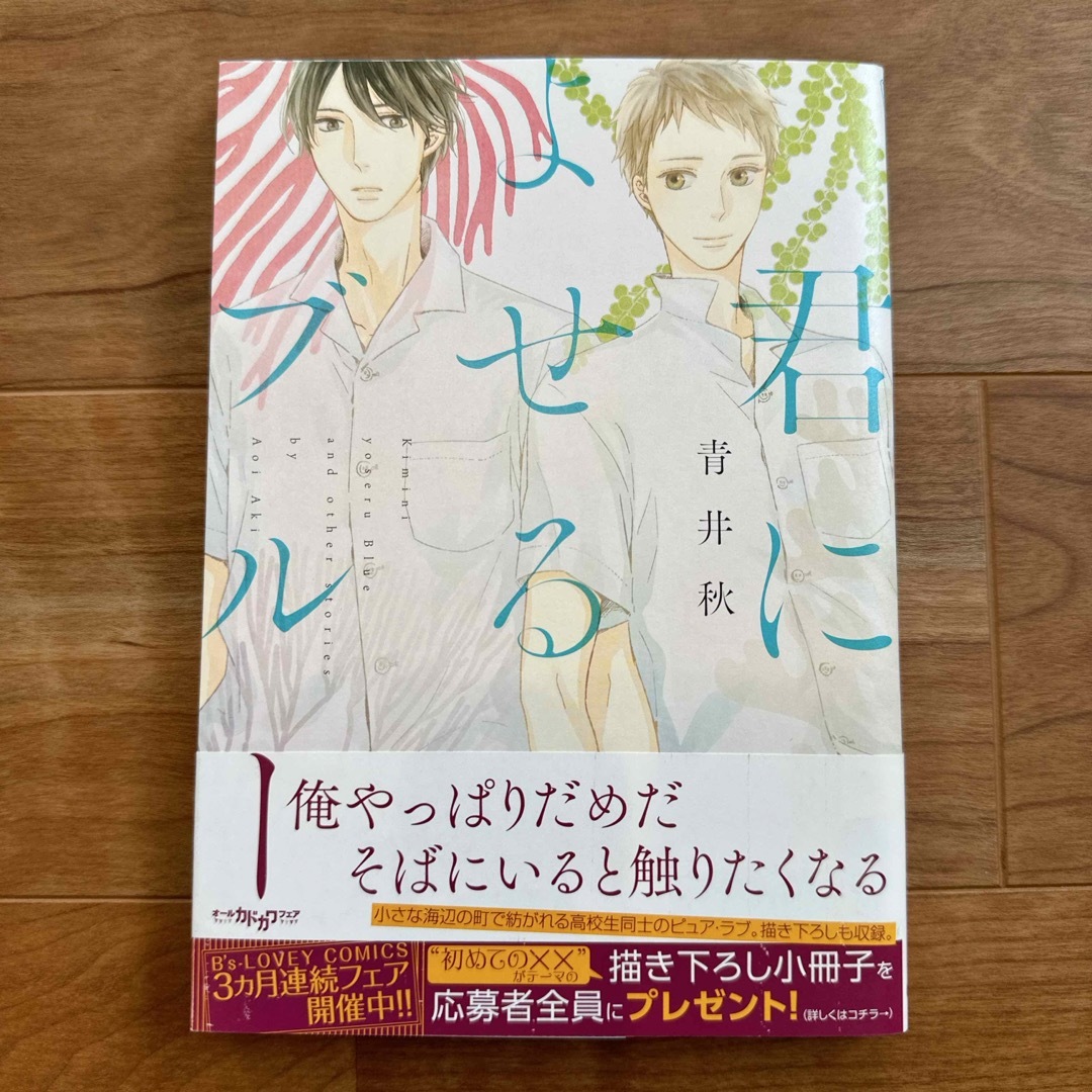 角川書店(カドカワショテン)の【BL漫画】君によせるブル－（青井秋） エンタメ/ホビーの漫画(ボーイズラブ(BL))の商品写真