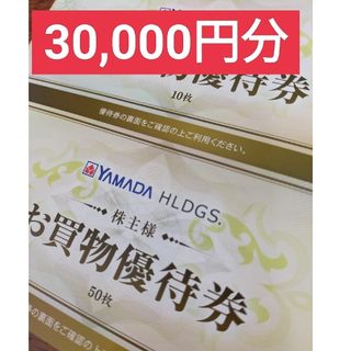 アルペン 株主ご優待券15000円分(500円×15枚×2冊)期限24.3.31の通販 by