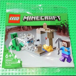 レゴ(Lego)の【新品】LEGO ポリバック 30647 マインクラフト 鍾乳洞 レゴブロック(知育玩具)