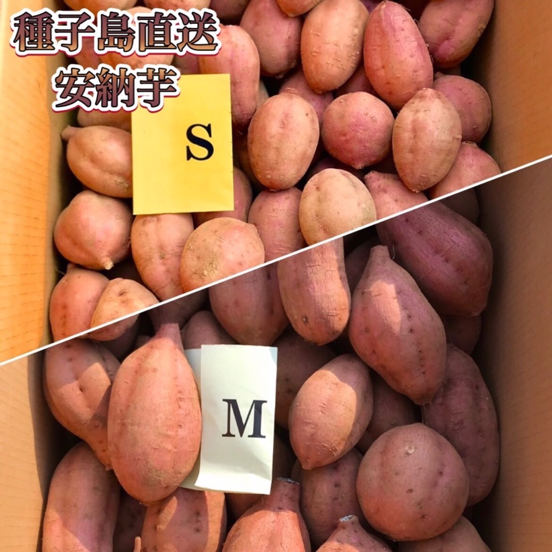 【絶品】種子島産 安納芋 S&M 混合3kg(箱別) 食品/飲料/酒の食品(野菜)の商品写真