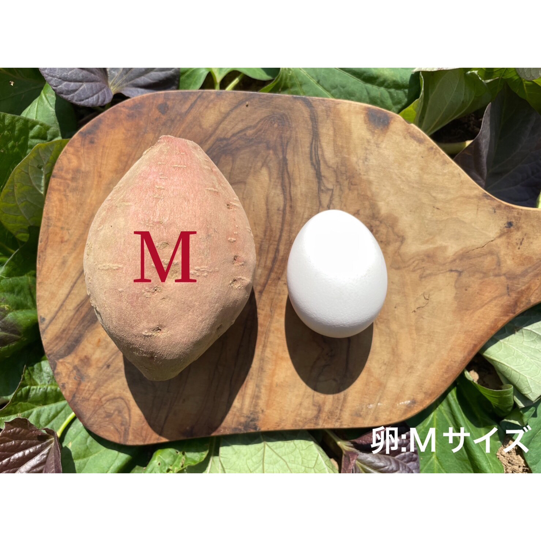 【絶品】種子島産 安納芋 S&M 混合2kg(箱別) 食品/飲料/酒の食品(野菜)の商品写真