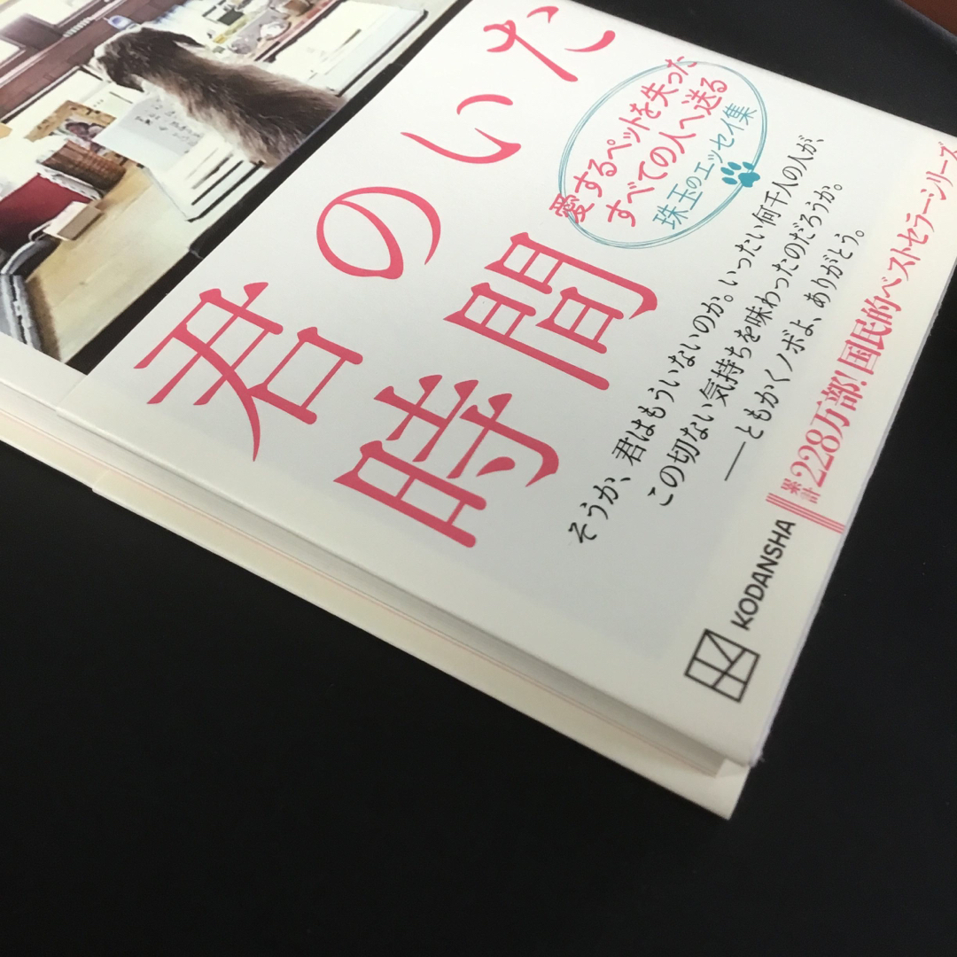 講談社(コウダンシャ)の伊集院　静　君のいた時間　大人の流儀スペシャル エンタメ/ホビーの本(文学/小説)の商品写真