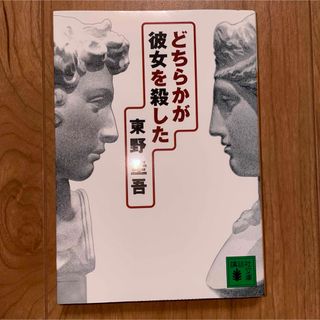 どちらかが彼女を殺した(文学/小説)