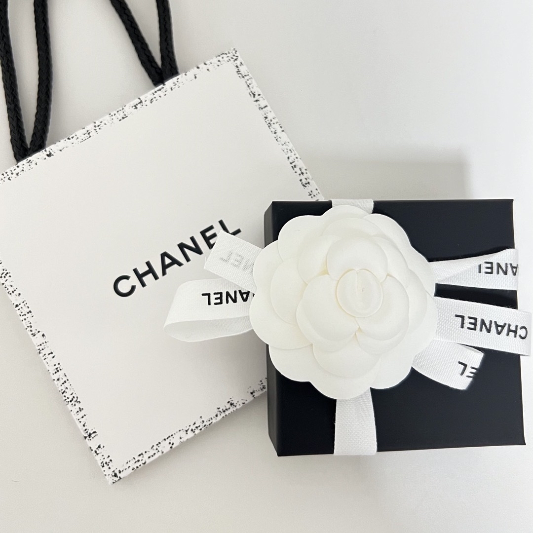 CHANEL(シャネル)の⭐️新品未使用⭐️シャネル CHANEL  2023.新作　ピアス レディースのアクセサリー(ピアス)の商品写真