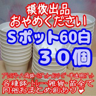 《Sポット60》白 30個 スリット鉢 プラ鉢 2号鉢相当 多肉植物 プレステラ(プランター)